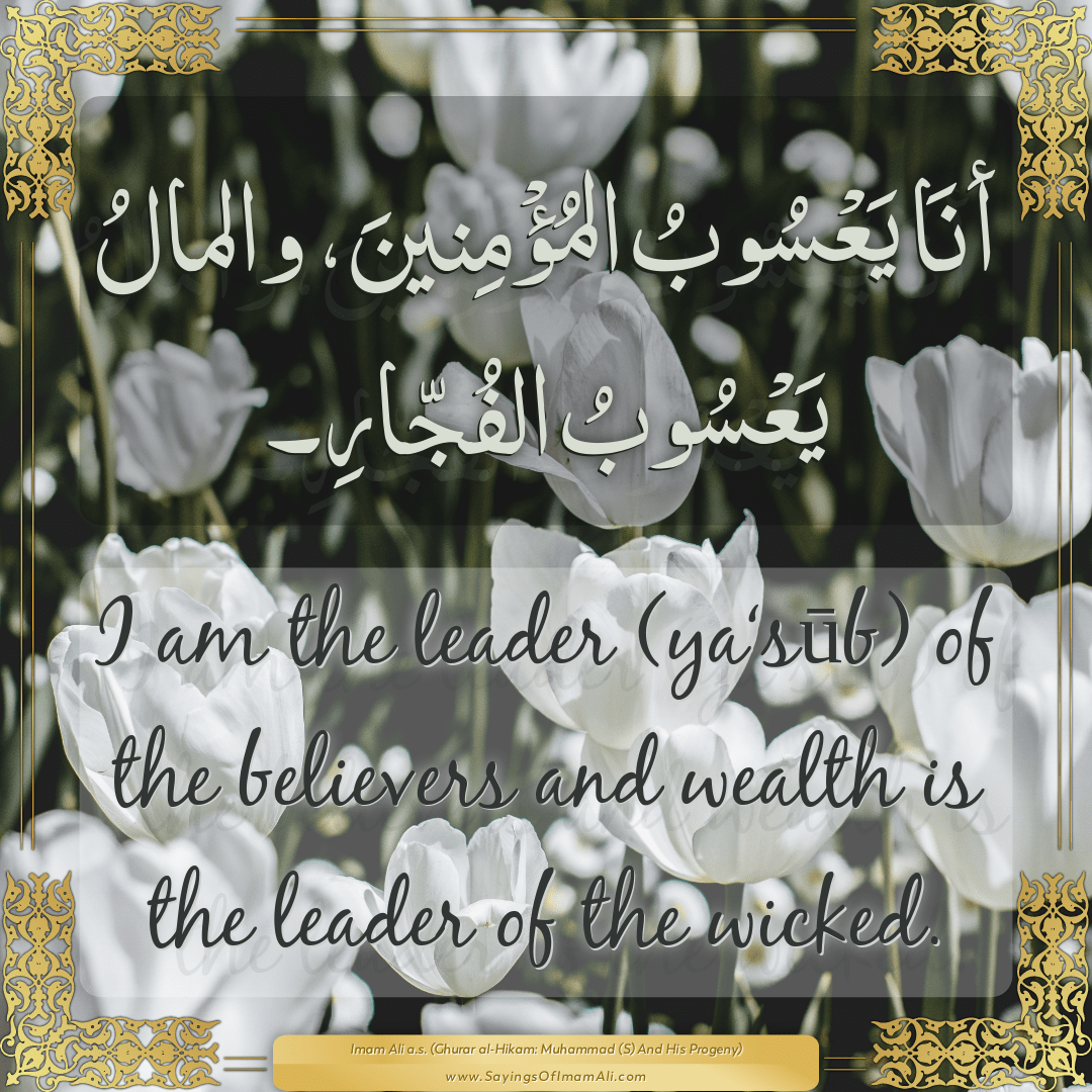 I am the leader (ya‘sūb) of the believers and wealth is the leader of...